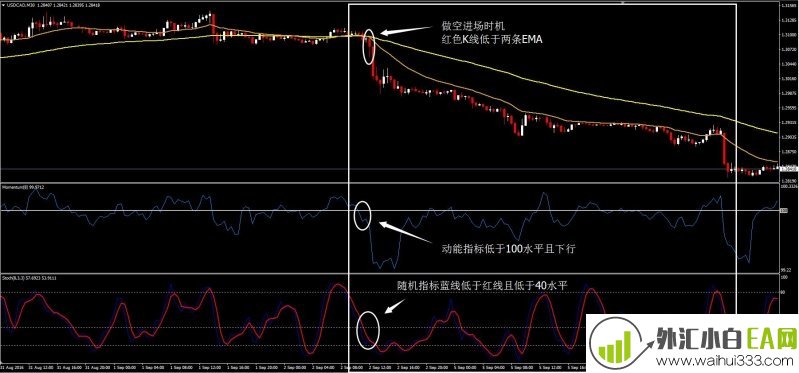完美外汇交易系统下载