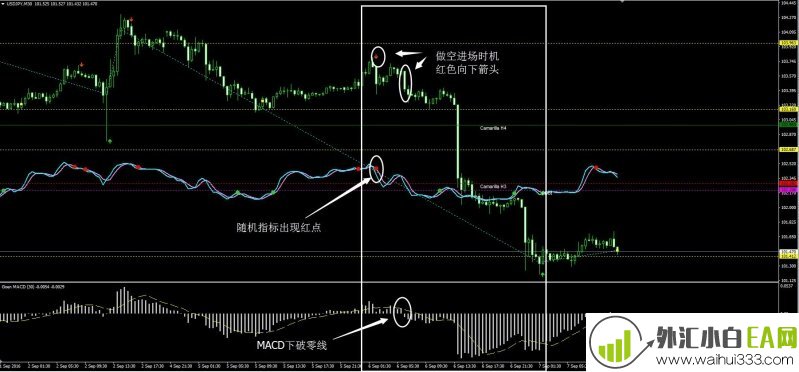 Tiong7外汇交易系统