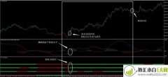 趋势3外汇交易系统下载
                