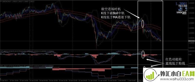 智能外汇交易系统下载