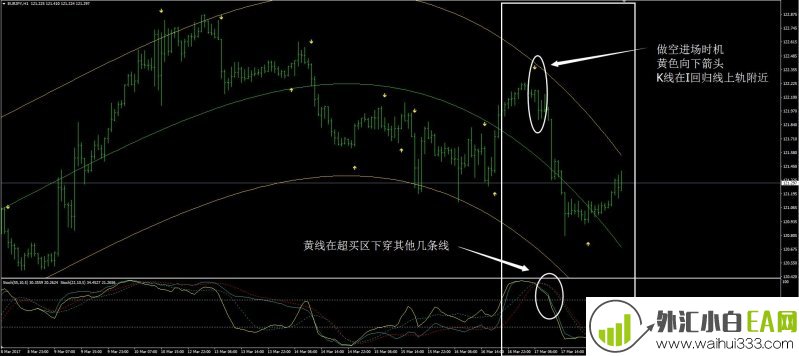 毒蛇外汇交易系统下载