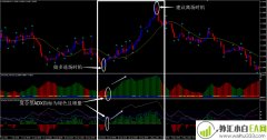 小泉纯一郎外汇交易系统下载!日本外汇界一哥
                