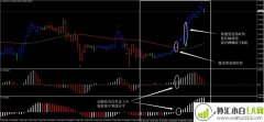 超棒HMA加速器外汇交易系统下载
                