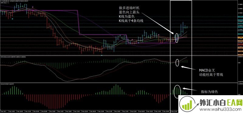 Bulut外汇交易系统下载