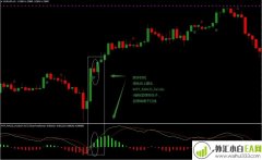 MTF MACD In color外汇交易系统下载
                