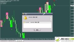 蜡烛图K线反转形态MT4指标下载
                