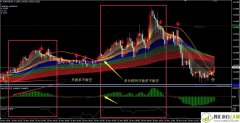 趋势追随者MT4外汇模板下载
                