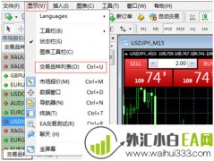 MT4平台中怎么调出其他没有显示的品种?