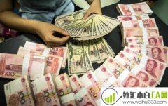 什么是外汇双轨制,汇率双轨制优缺点.