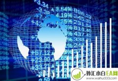 什么是外汇白标,外汇主标白标的区别是什么?
