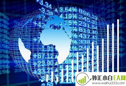 什么是外汇白标，外汇白标主标的区别是什么？