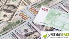 怎样炒外汇才能够赚钱