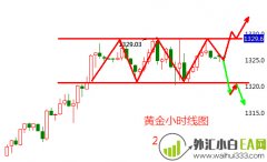 6.5黄金原油操作方案,黄金原油收费十字星换盘或