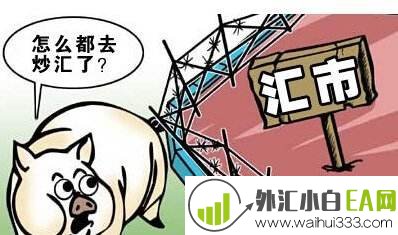 外汇投资入门要注意哪些问题？新手外汇投资入门须知必备
