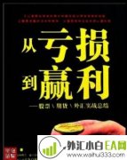 《从亏损到赢利:股票、期货、外汇实战总结》