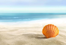 外汇EA是什么？外汇EA有什么用呢？能赚钱吗？